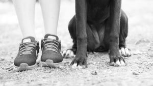 Grayscale Photo of a Dog Sitting Beside a Person