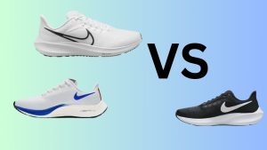 Nike Pegasus 39 Premium Vs Regular