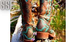 Person Wearing Brown Leather Cowboy Boots Standing on Brown Wood Log