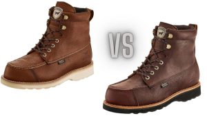  Irish setter 808 vs 894: