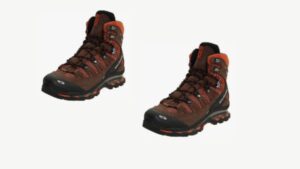 Salomon Quest 4D 4 GTX